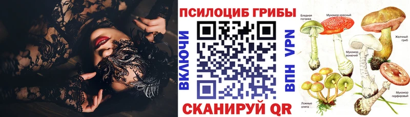 Псилоцибиновые грибы MAGIC MUSHROOMS Иваново